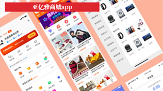 項目案例：亞億雅商城項目 